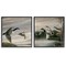 Stupell Industries Geese & Ducks in Nature 2pc Framed Giclee Set Design by Ruane Manning